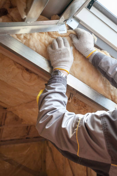 Best Commercial Insulation in Belle, MO